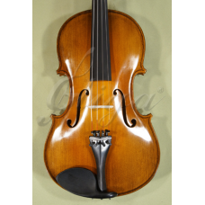 Viola 16” (40,5 cm) Genial 2 (incepator) - Lac Nitro 